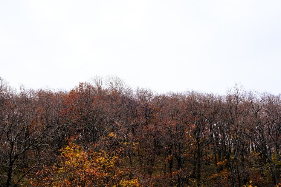 Change-of-Season-Preparedness Checklist